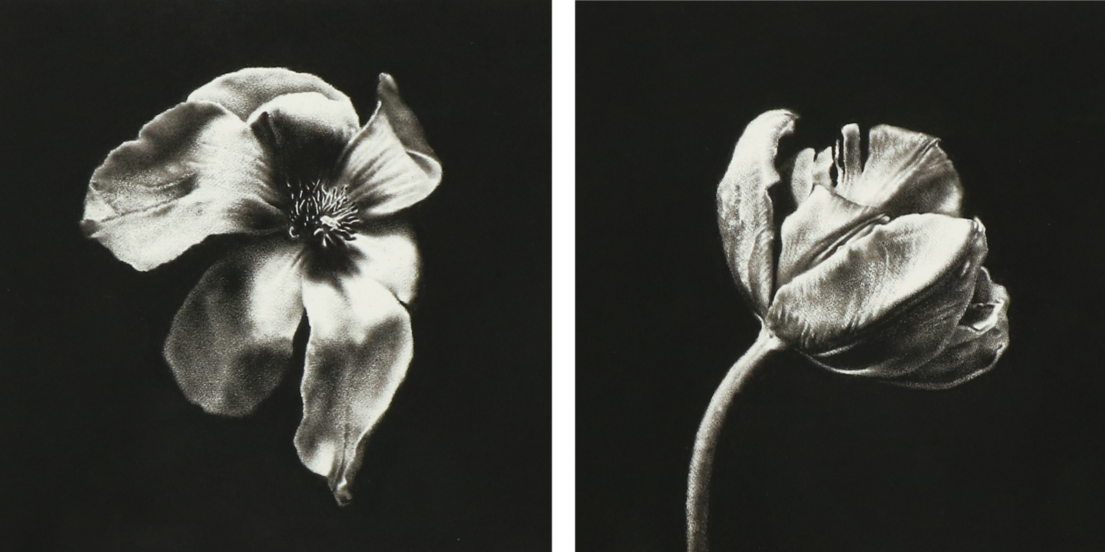 Resurfacing Margaret Emsley Artist Exhibition