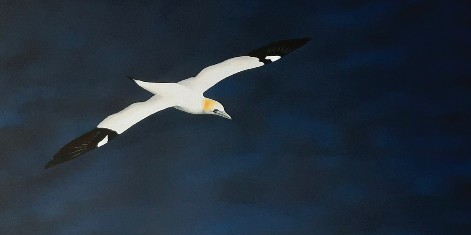 Ultramarine Exhibition Philippa Bentley