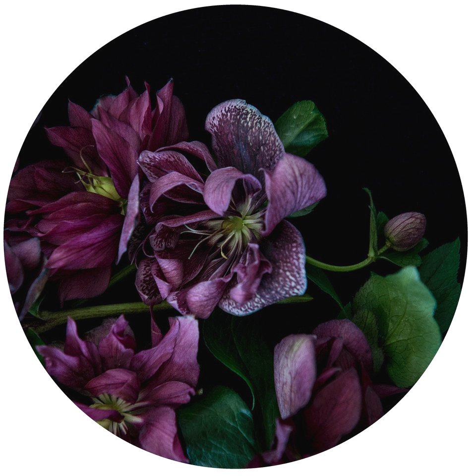 Helen Bankers Photographer