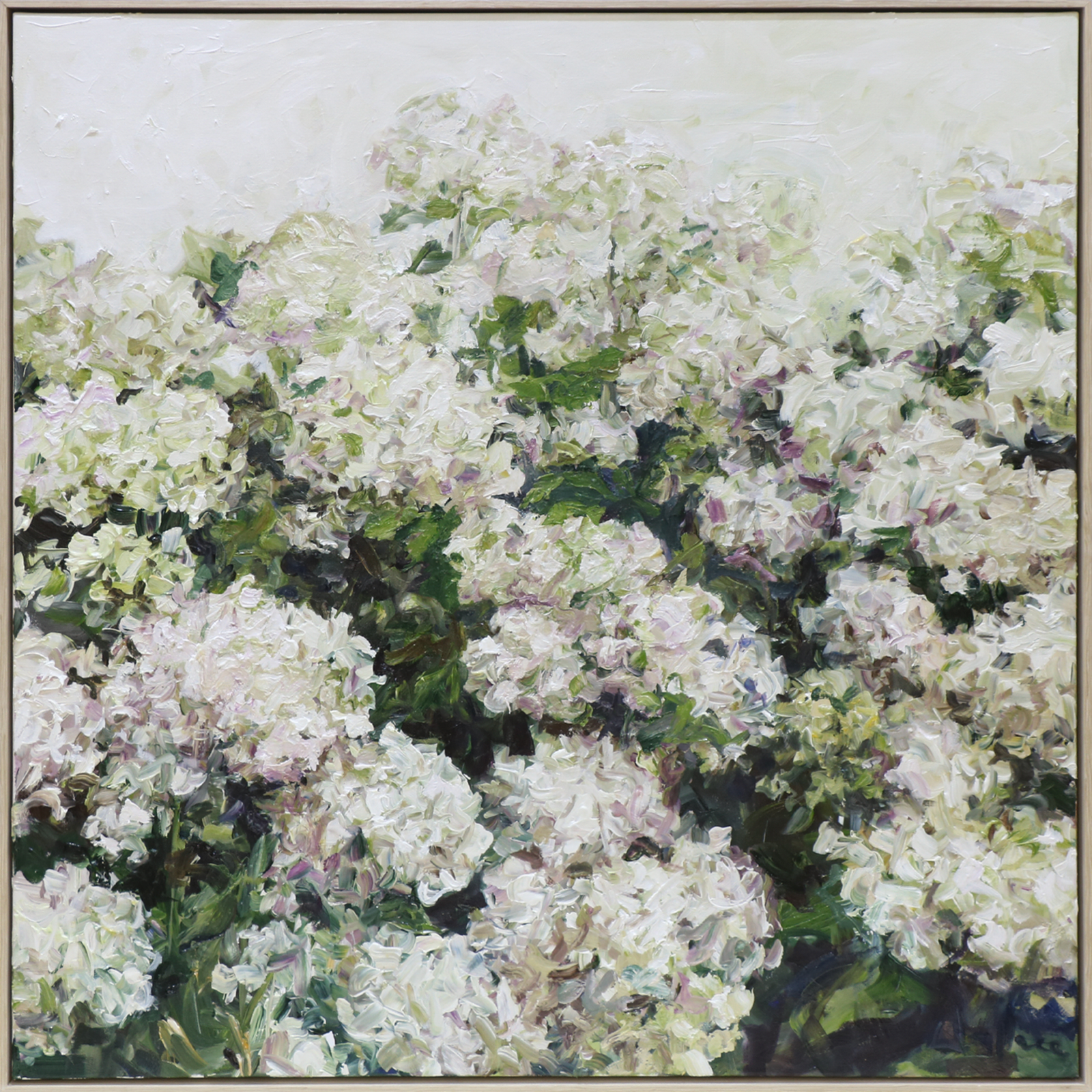 Brighter Days Dean Wallace Oil painting floral hydrangea