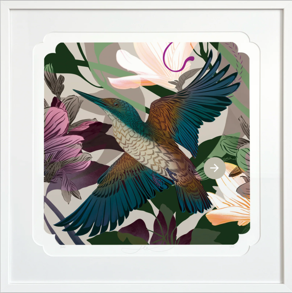 Evolution Kingfisher Heritage Print | FLOX | Turua Gallery 