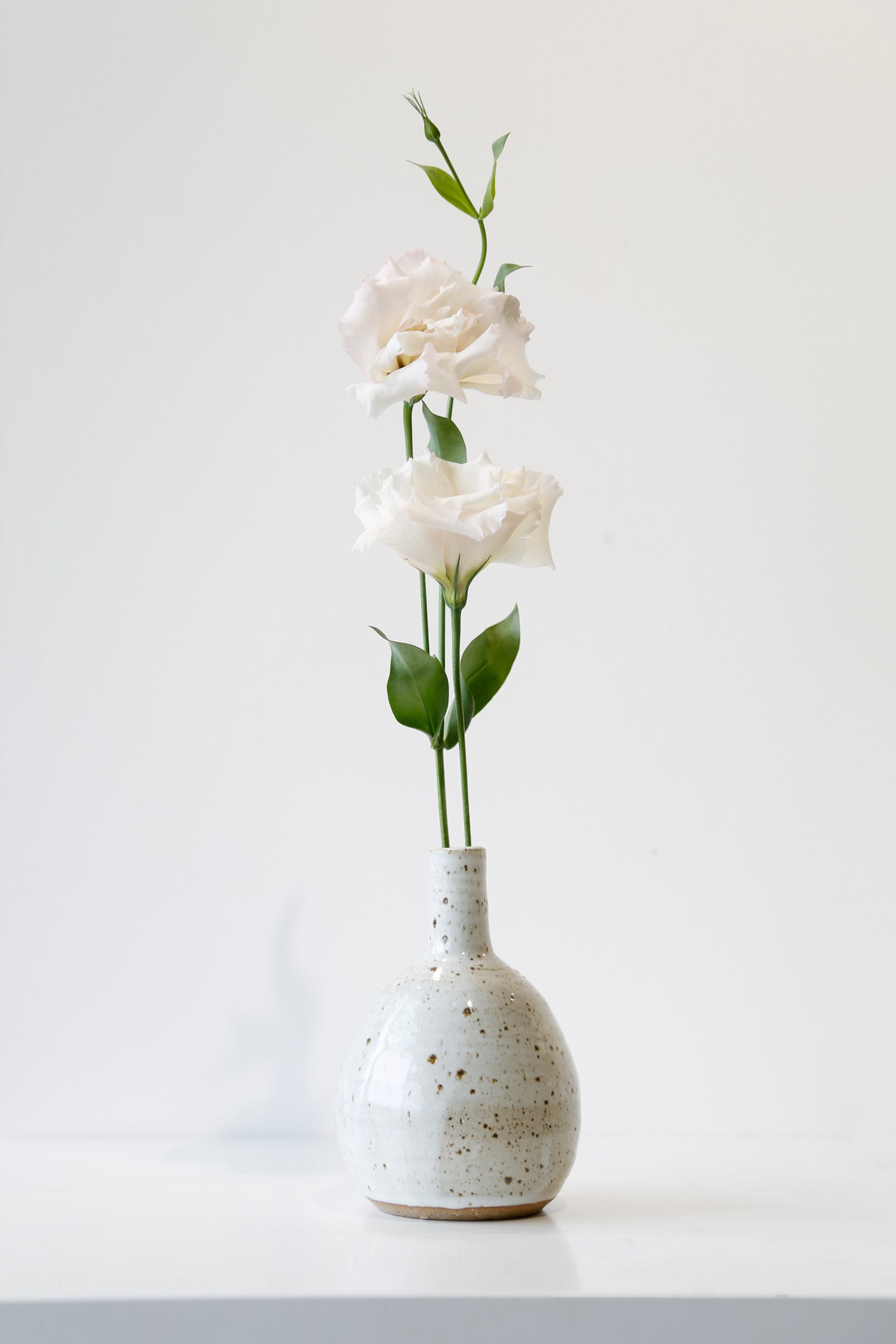 Mother's Day Vase #220 | Turua Gallery | Jacqueline Kampen | Wheel thrown stoneware | Ceramics