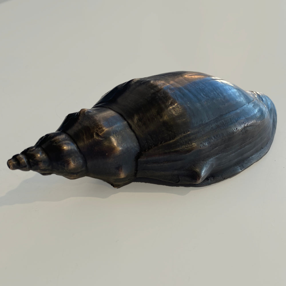 Trumpet Shell | Jay Lloyd | Hand Cast | Hand Finished Bronze | Turua Gallery