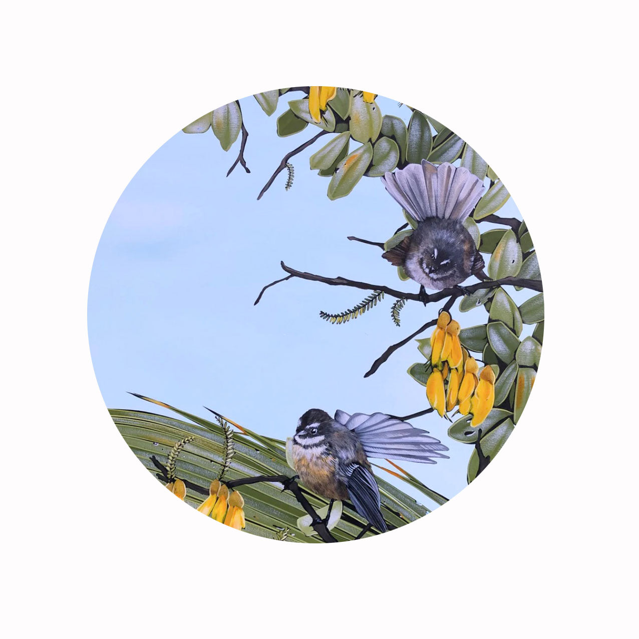 Fantail #02 | Kirsty Nixon | Art Print | Turua Gallery