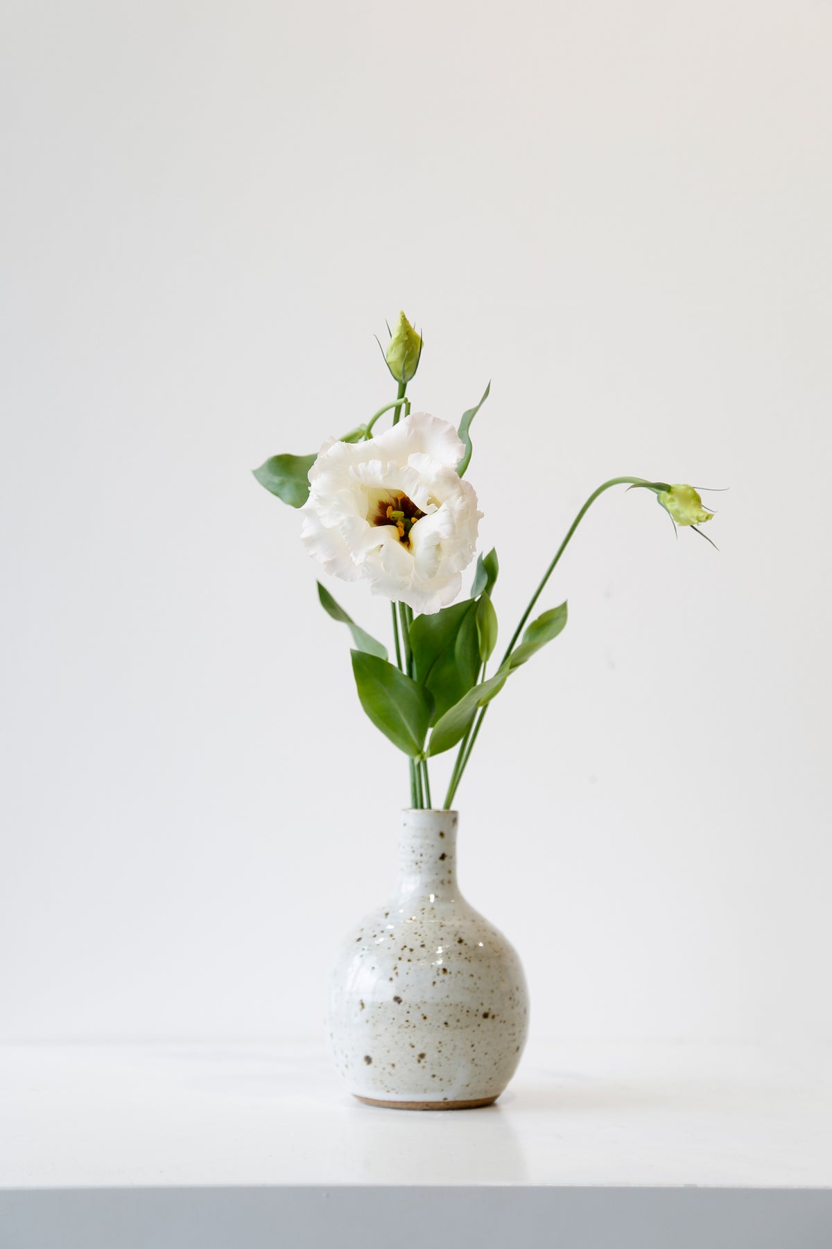 Jacqueline Kampen | Wheel thrown stoneware | Ceramics | Mother's Day Vase #218 | Turua Gallery
