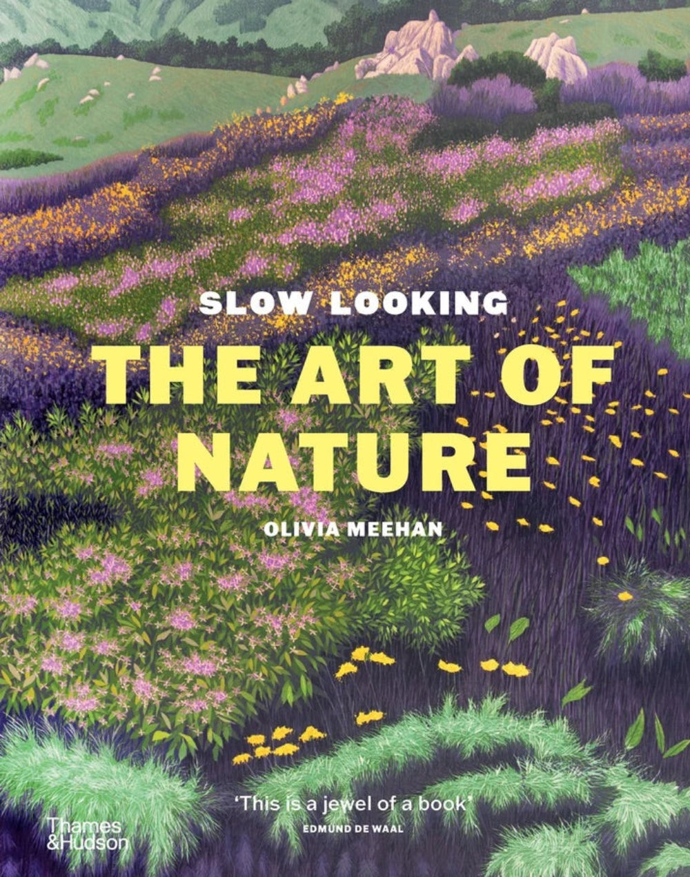 Slow Looking: The Art of Nature, Olivia Meehan, Art & design book, turua gallery