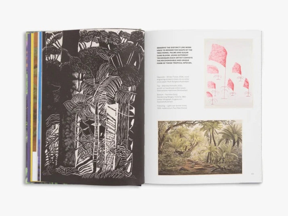 Slow Looking: The Art of Nature, Olivia Meehan, Art & design book, turua gallery