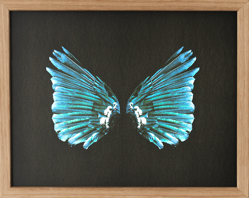 Helen Bankers Tui Wings printed digital image on backlit film