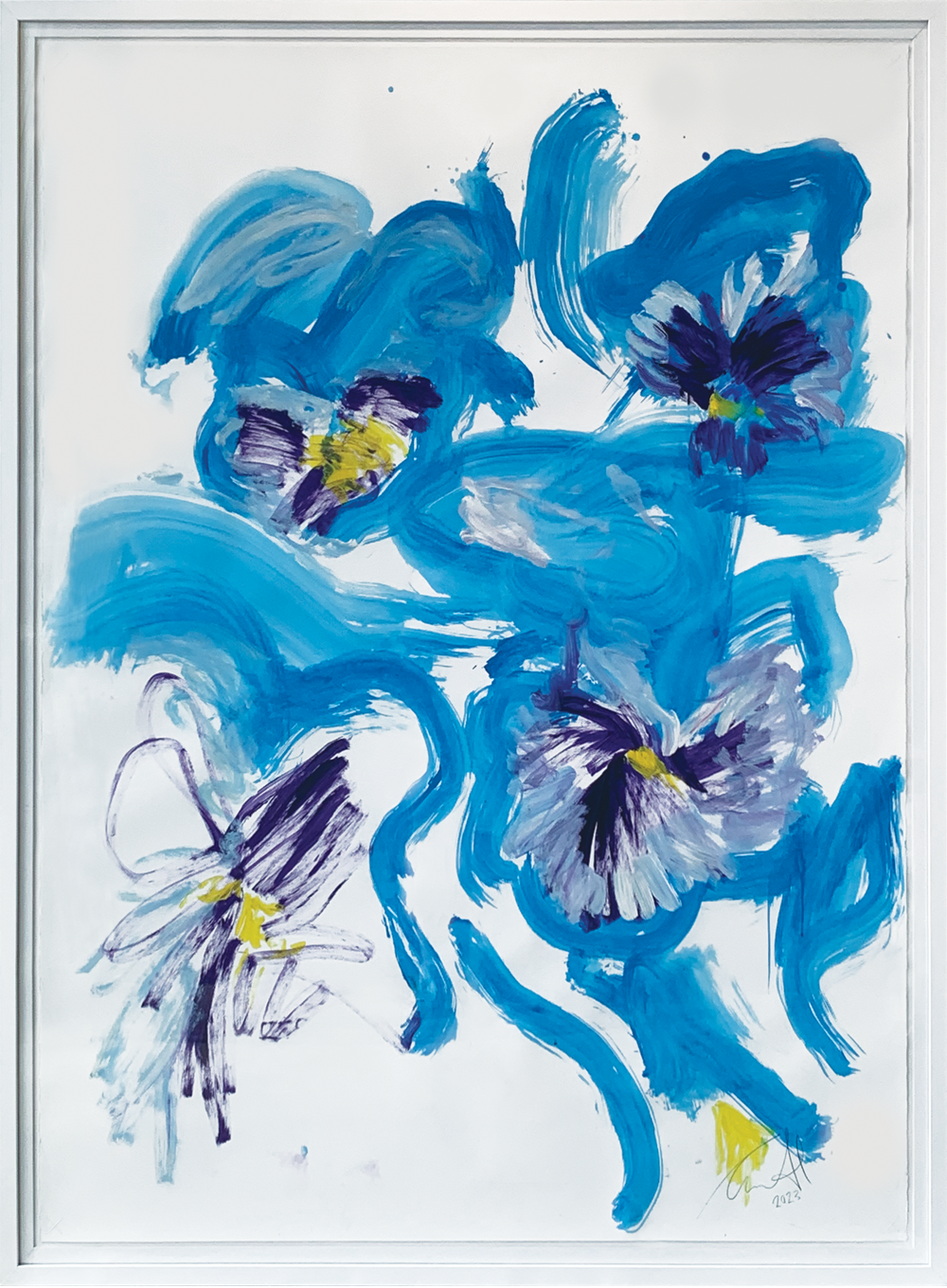 Macro Study I Pansies, Sweet Thing exhibition, Carmel van der Hoeven