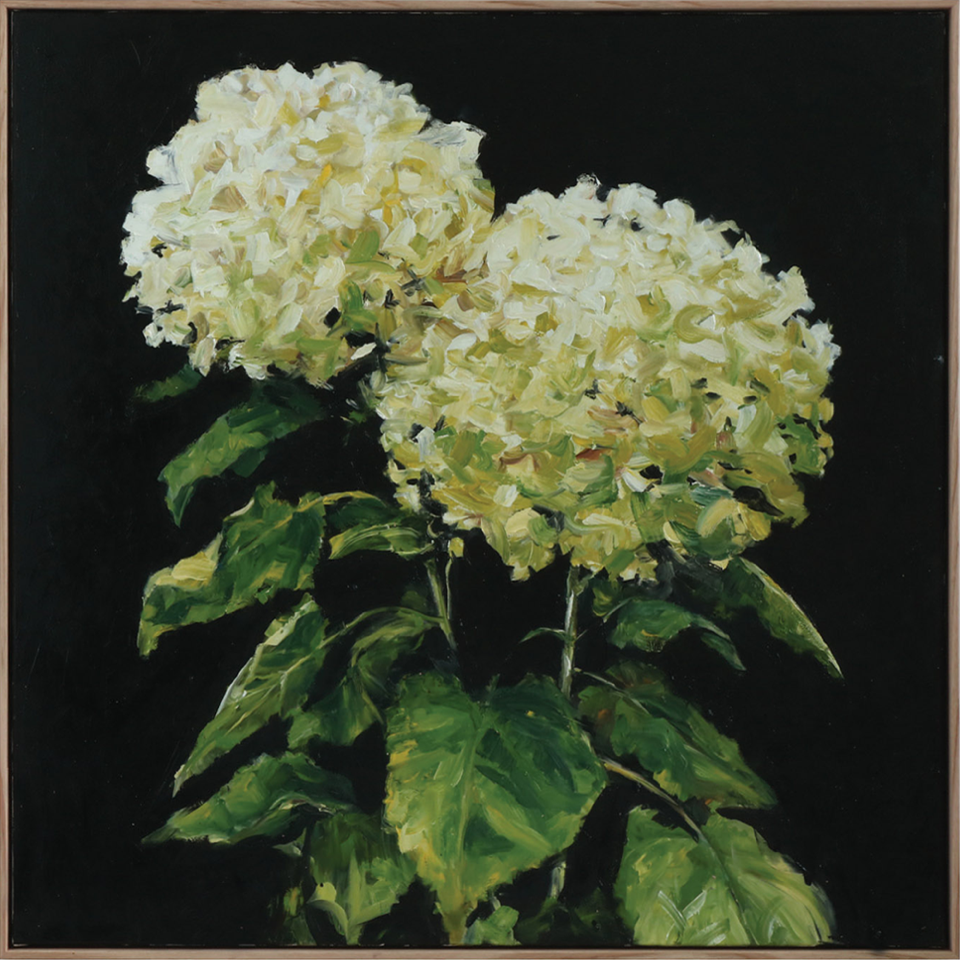 Bloom hydrangea oil painting Dean Wallace