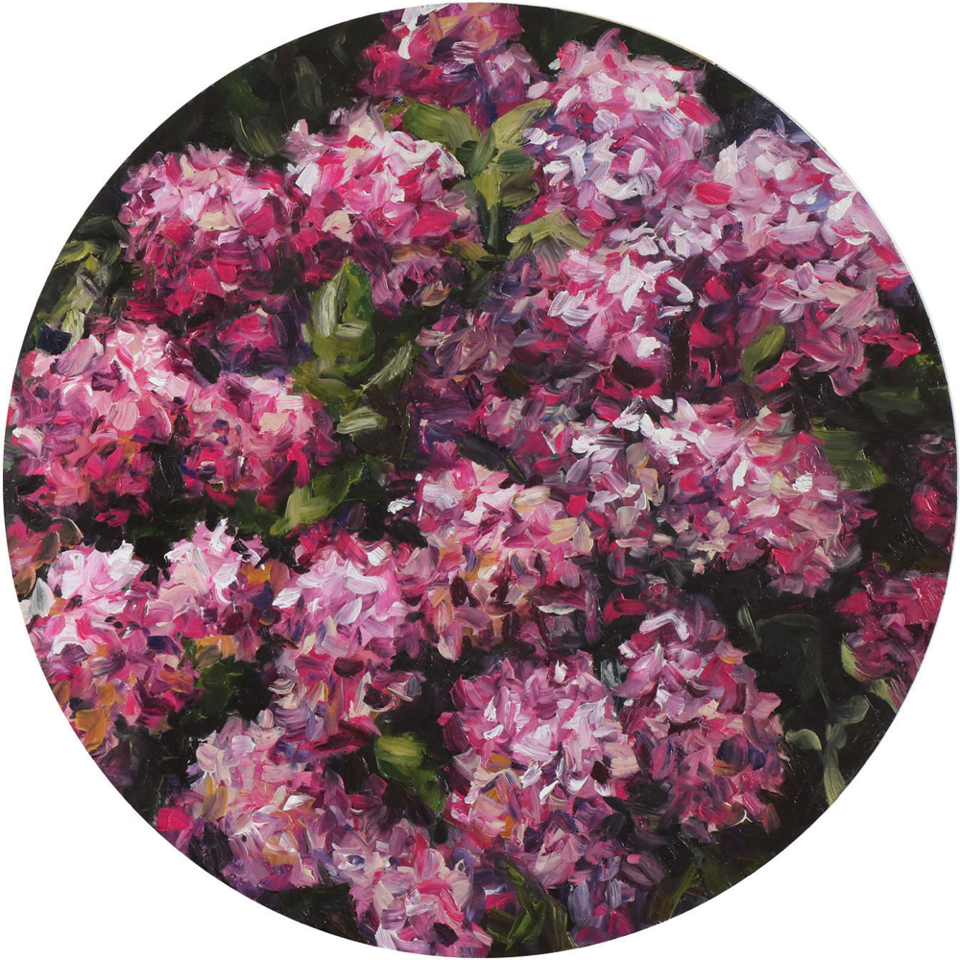 Pink Tondo hydrangeas oil painting round Dean Wallace