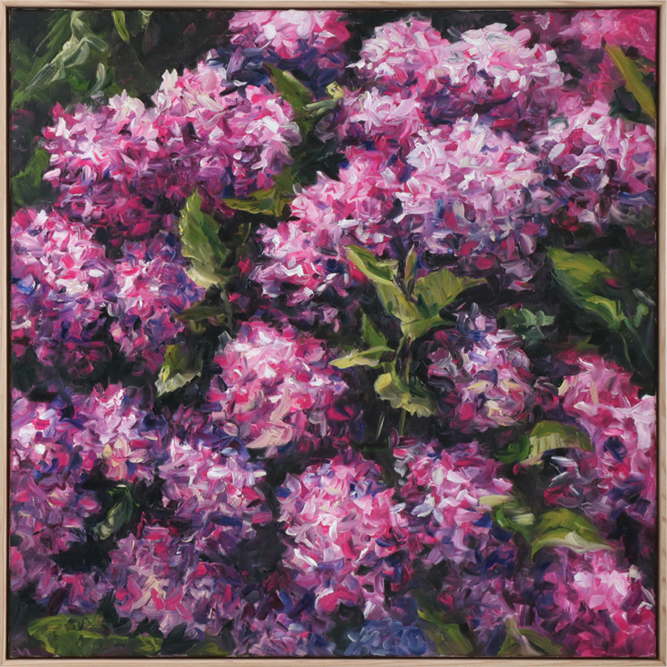 Pink hydrangeas oil painting Dean Wallace