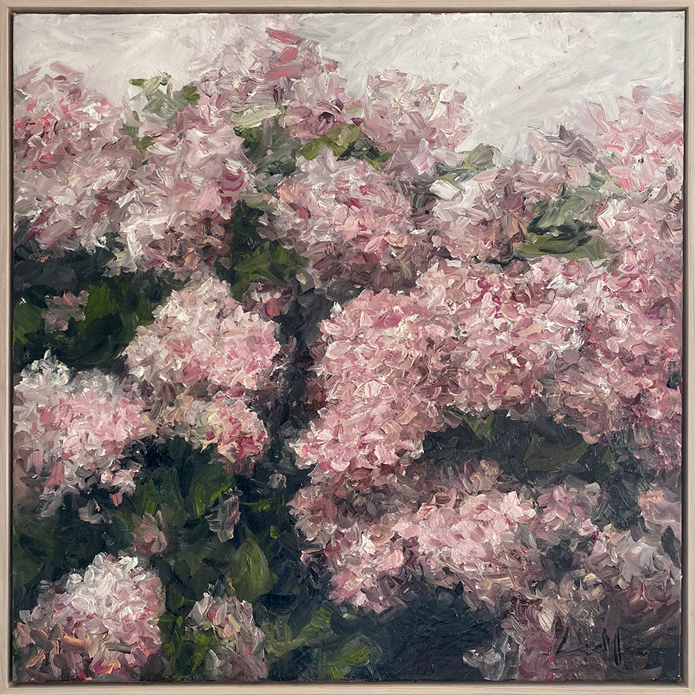 Toasted Marshmallow. Dean Wallace. Oil painting. Floral. Hydrangea.