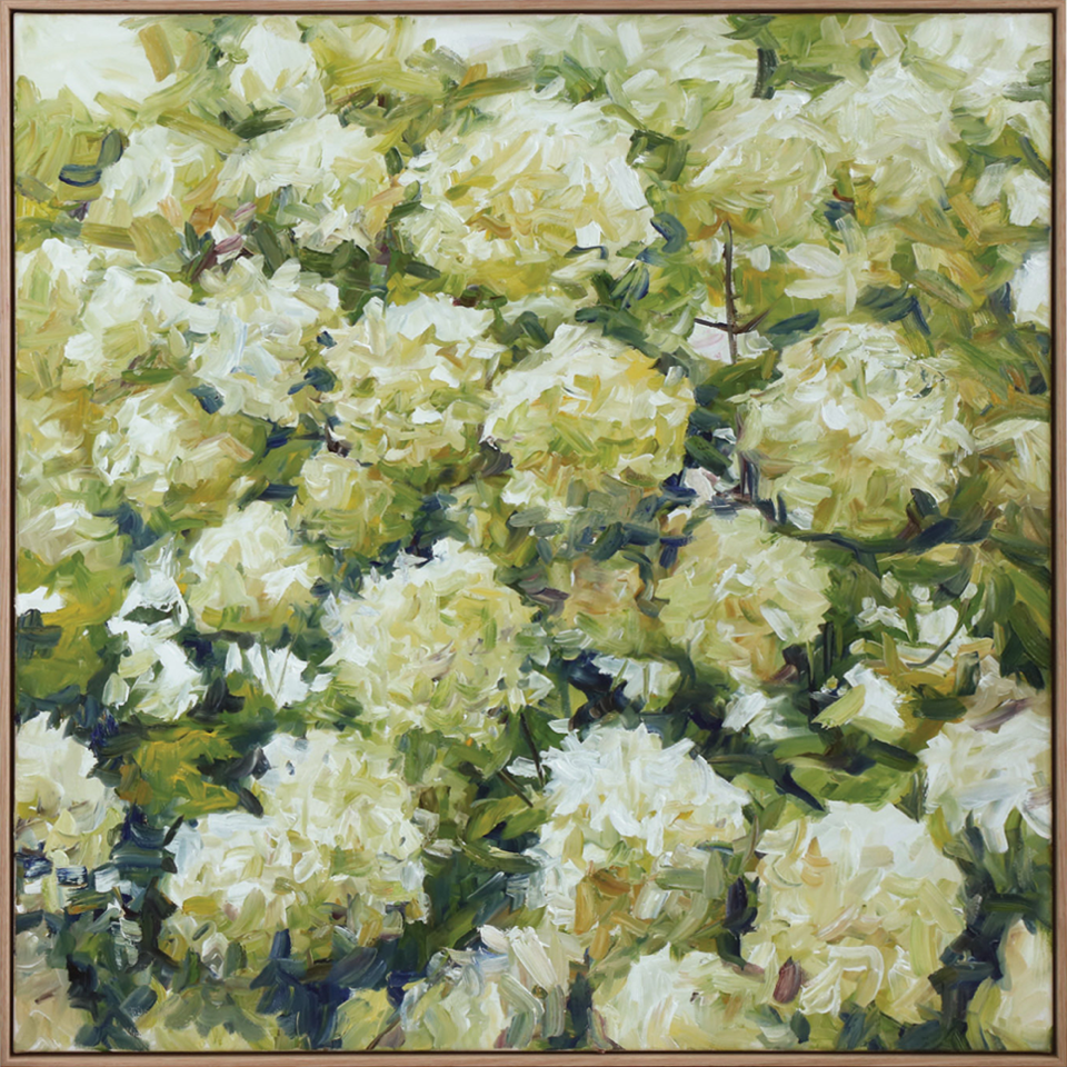 White Garden hydrangeas oil painting Dean Wallace