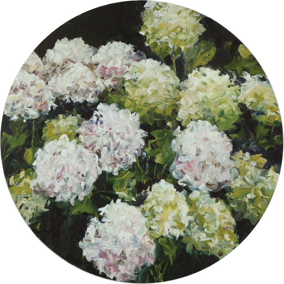 White Tondo hydrangeas oil painting round Dean Wallace