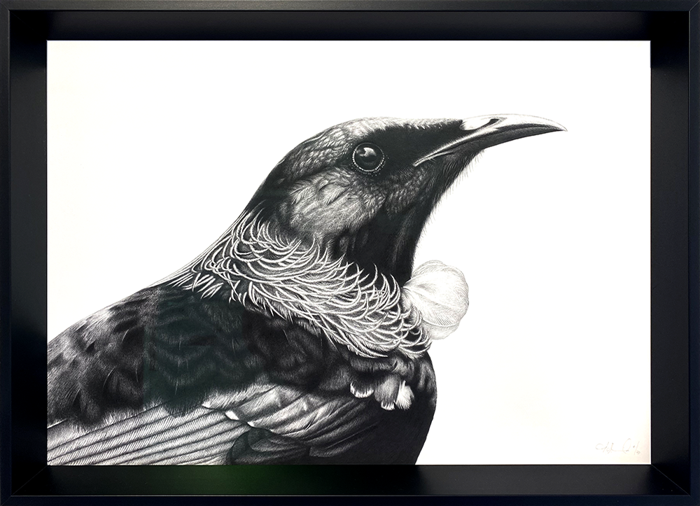 Majestic Mr Tui Framed limited edition print Hannah Shand