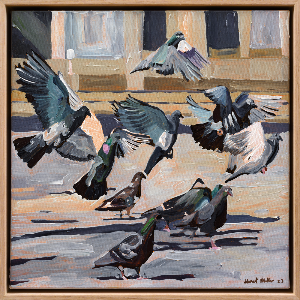 Pigeons acrylic painting by Harriet Millar