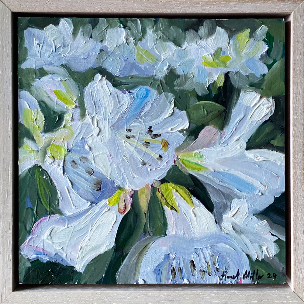 White Rhododendrons 1 , Framed | Painting | Harriet Millar 