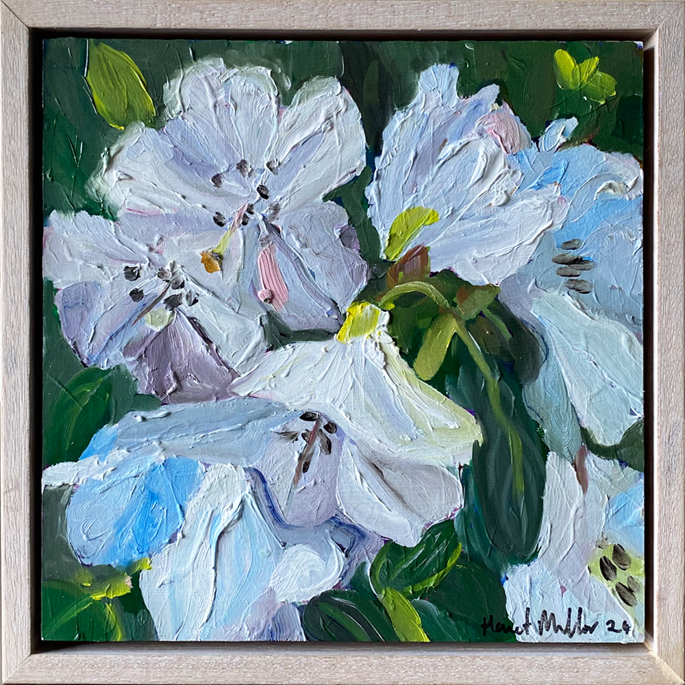 White Rhododendrons 2 Framed | Painting | Harriet Millar