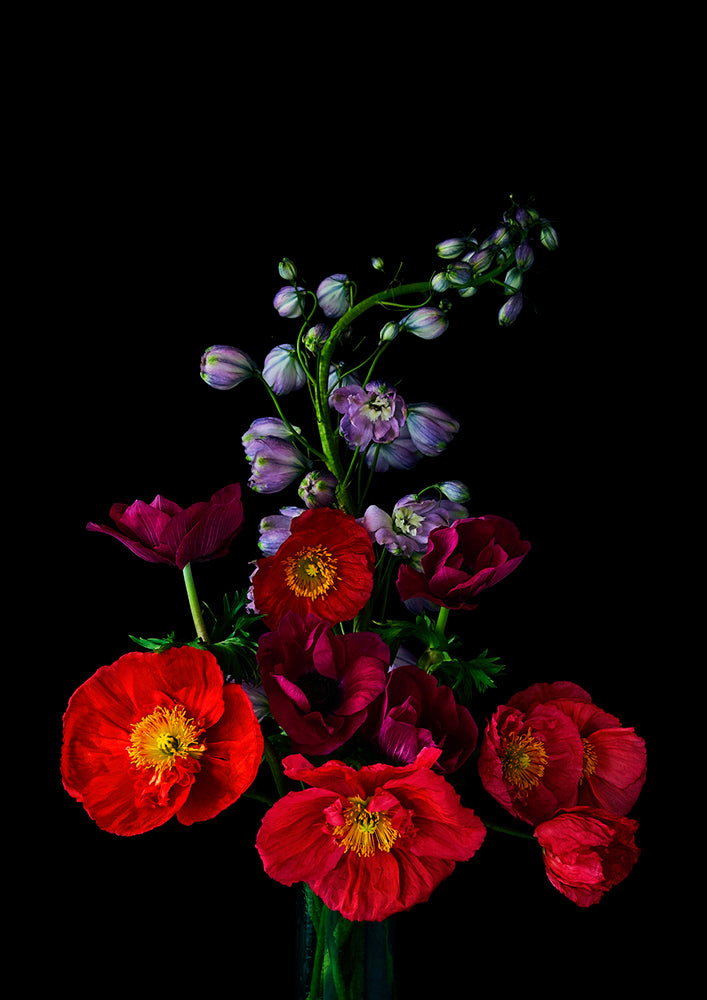 Golden Age limited edition fine art photography print floral Helen Bankers