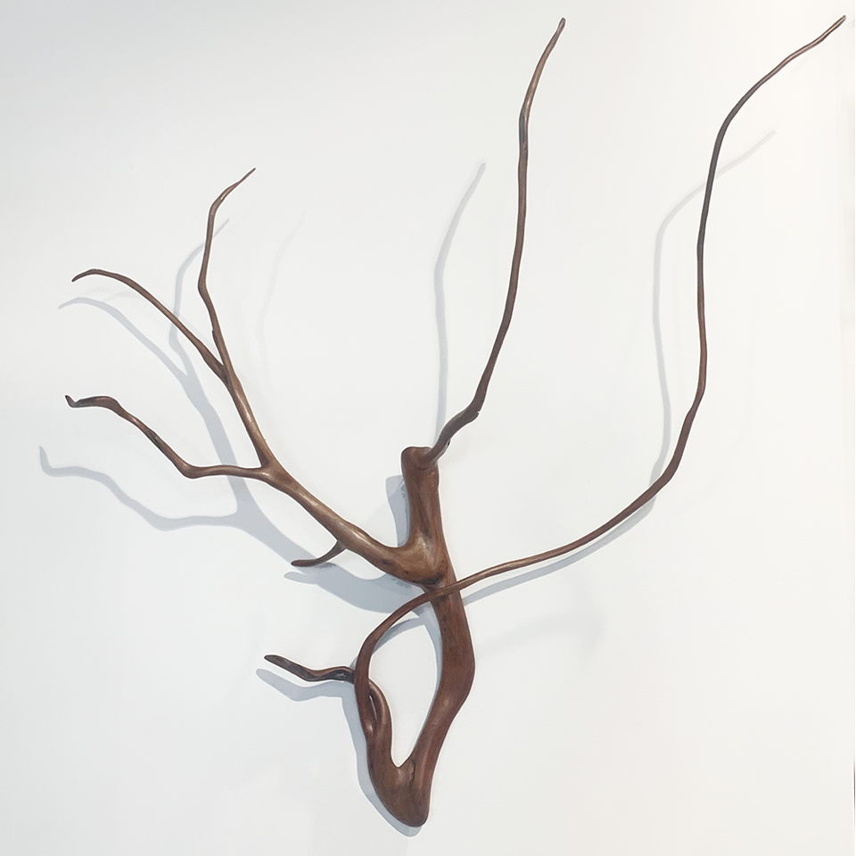 Pohutukawa Antlers John Allen
