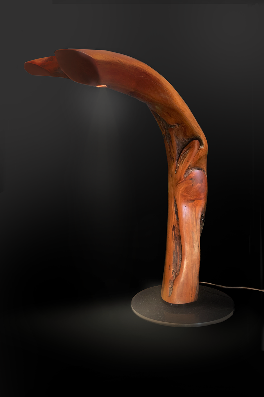 Swivel Lamp Pohutukawa John Allen