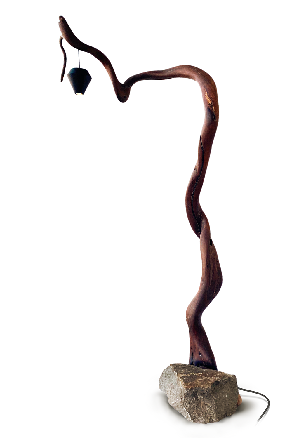 Life Force Lamp 5 JOhn ALlen. Recycled Pohutukawa Root