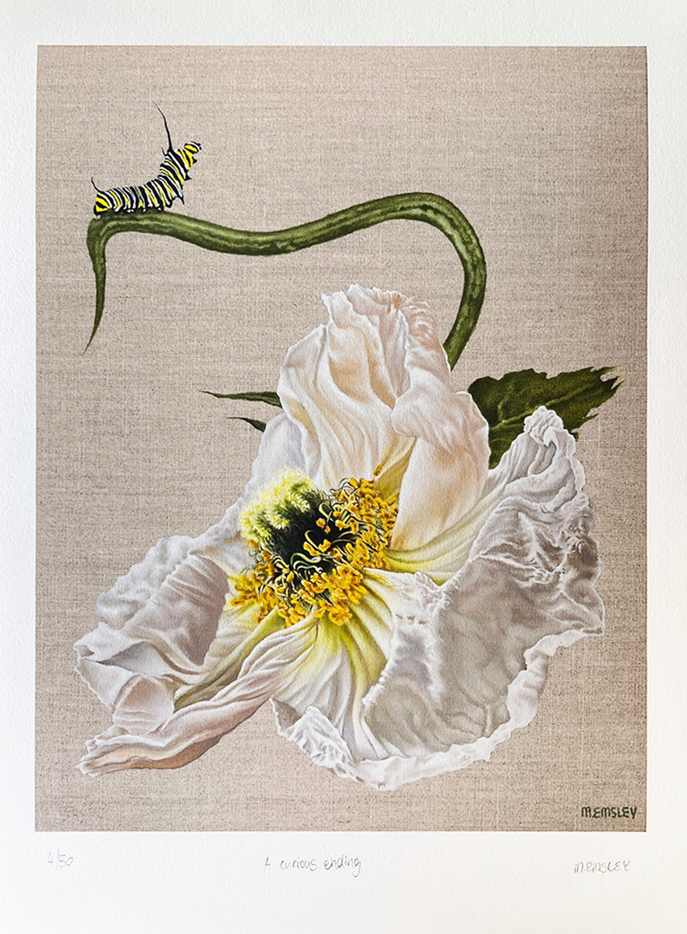 A Curious Ending Limited Edition print Margaret Emsley