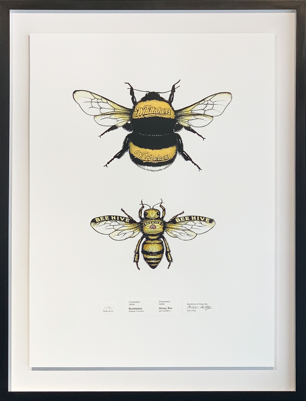 Bumblebee &amp; Honey Screen Print | Philippa Bentley