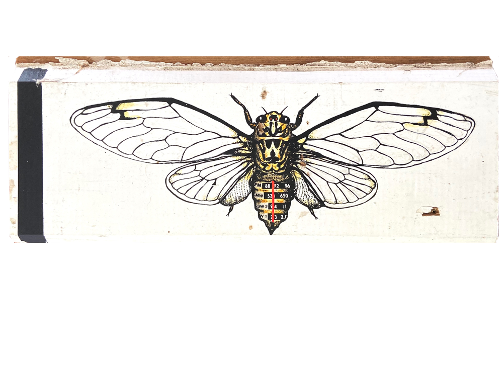 Cicada screenprint Philippa Bentley