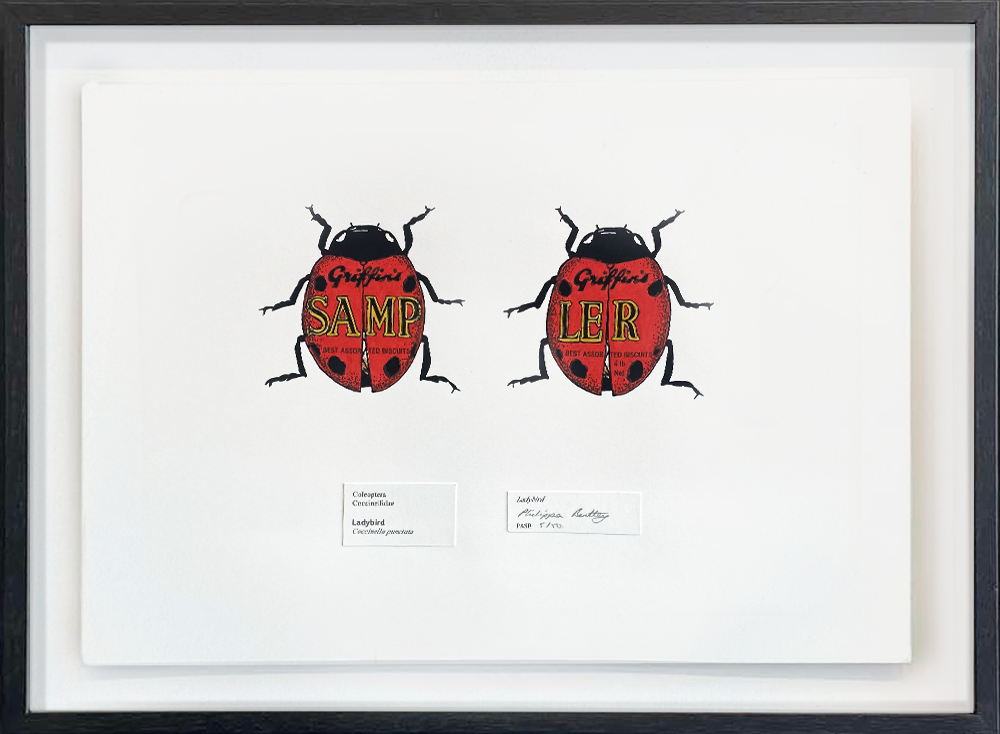 Ladybird Screenprint Philippa Bentley