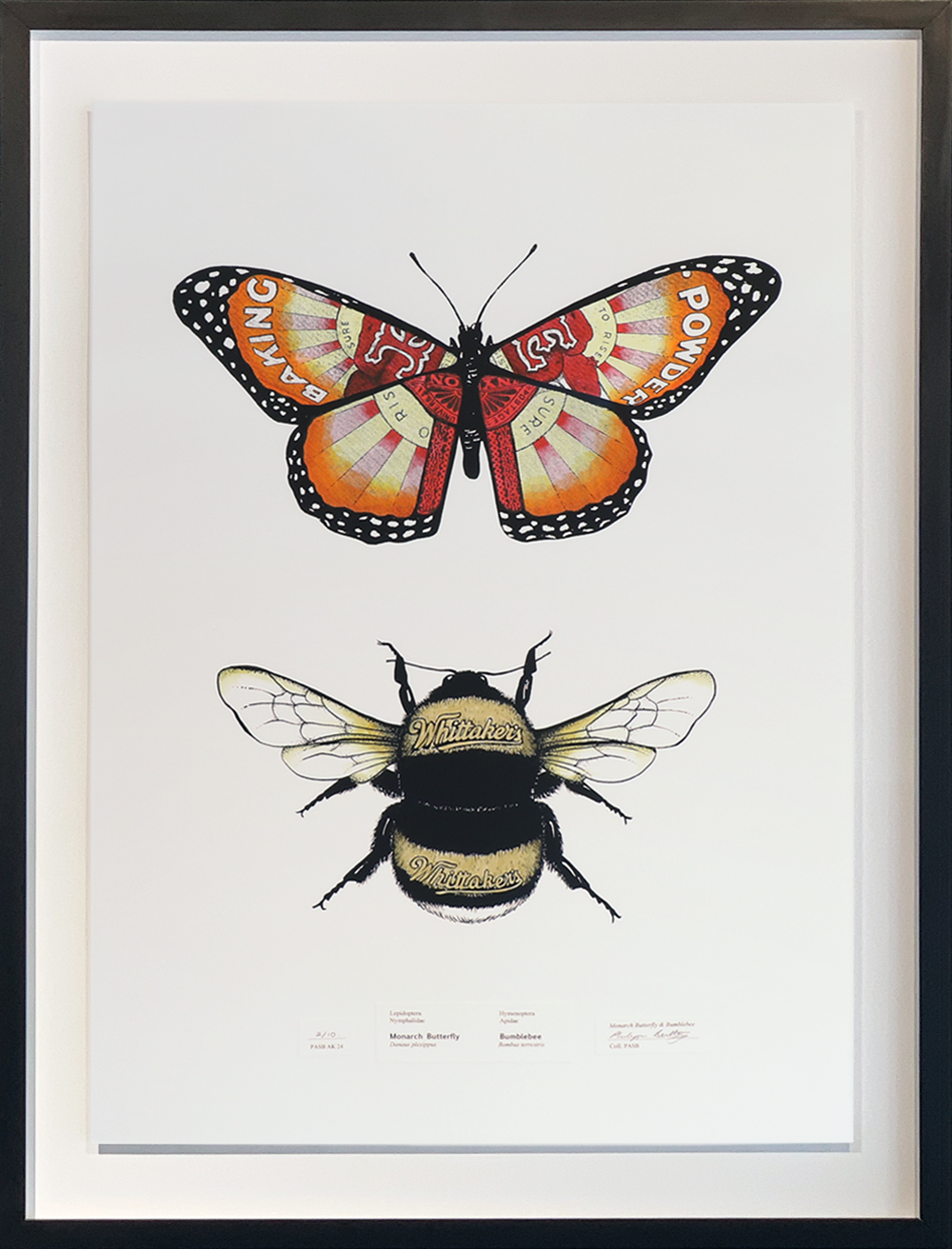 Monarch Butterfly and Bumblebee | Philippa Bentley Print