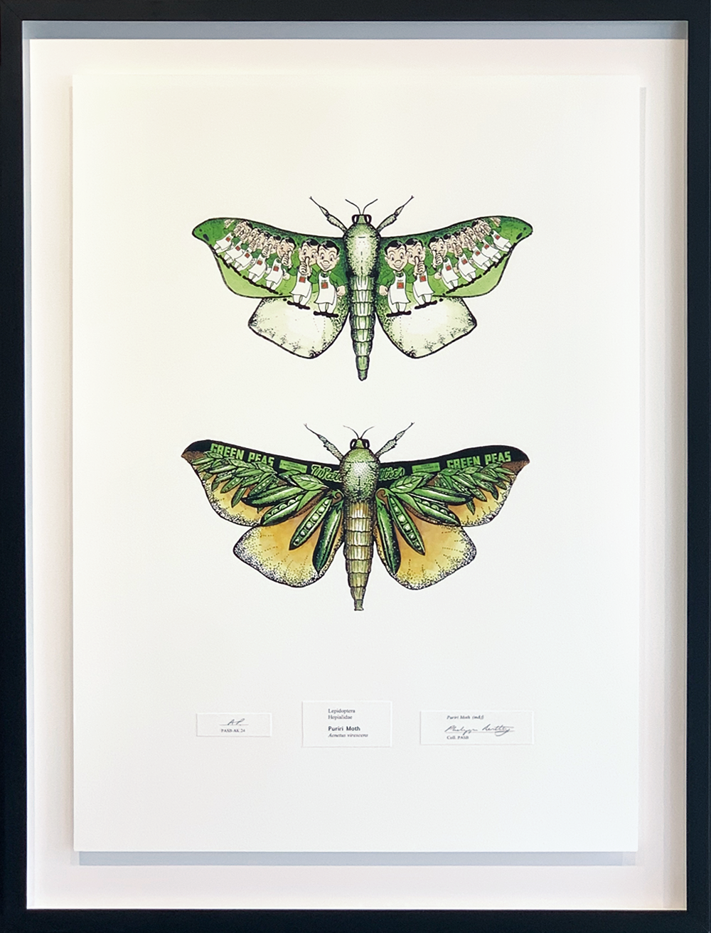 Puriri Moth Screen Print | Philippa Bentley