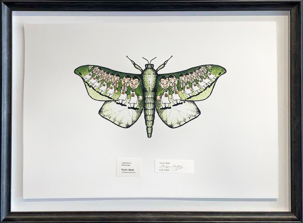 Puriri Moth screenprint Philippa Bentley Four Square guy