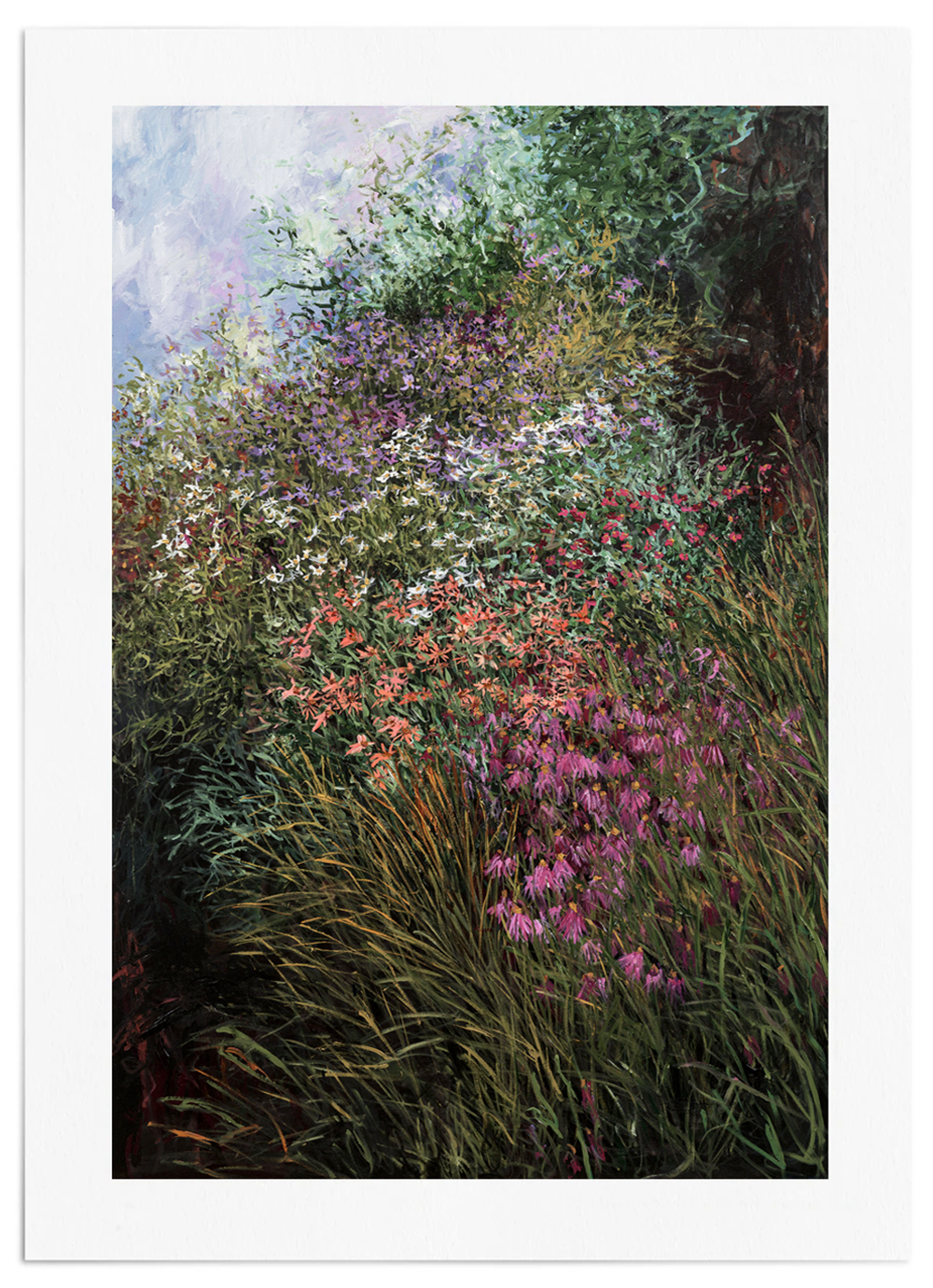 I saw stars | Limited Edition Print