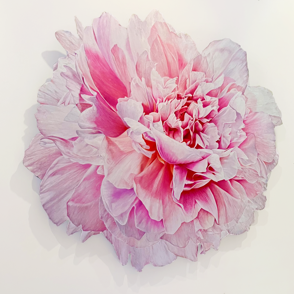 Symphony. Single Bloom large oil painting on board. Hyper realistic Rob Scriven