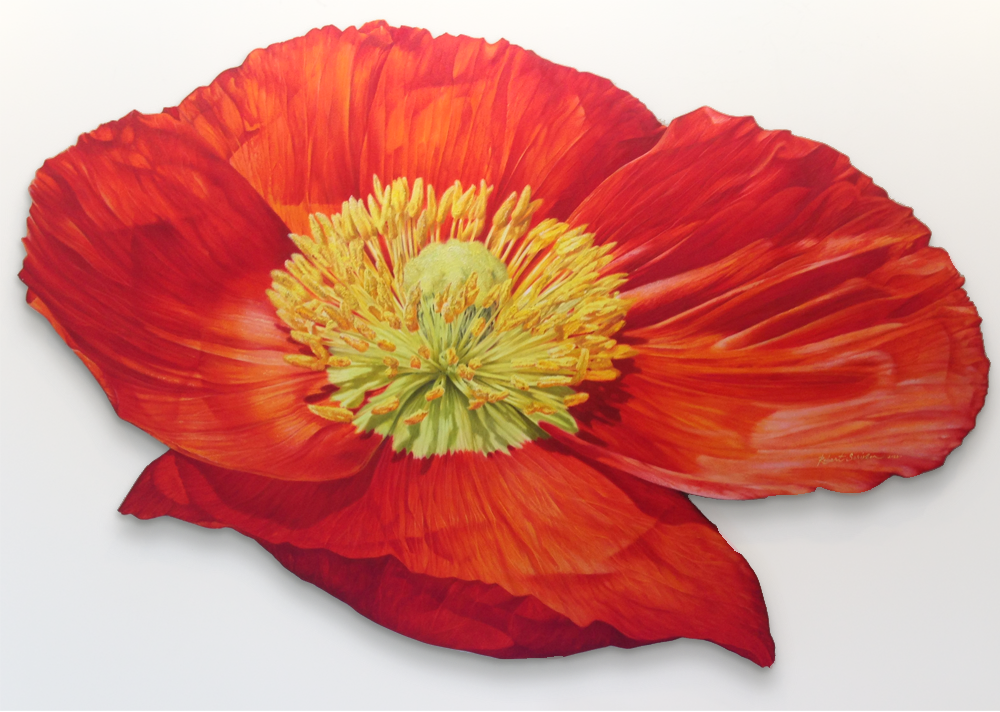 Robert Scriven Oil on board floral painting Vicky 