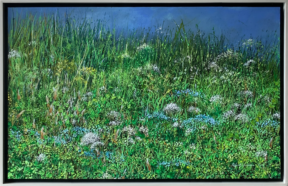 After The rain. Floral. Wild flowers. Robert Scriven