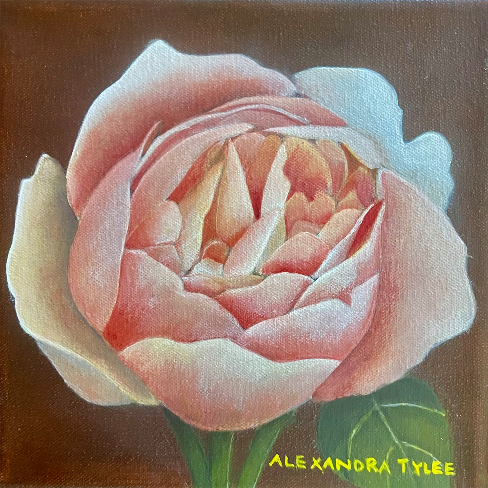 Alexandra Tylee | Desdemona | Turua Tiny Show 2025 | Original Painting |Turua Gallery