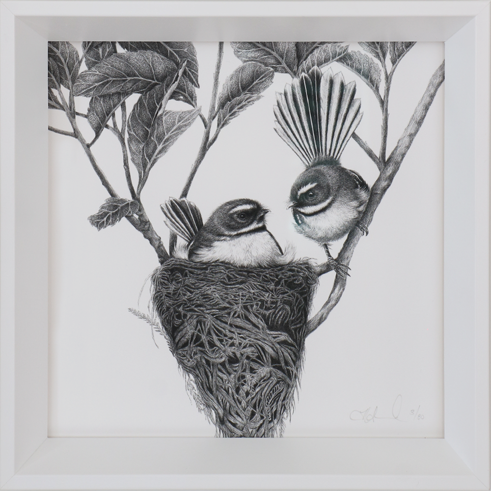 Expecting (Piwakawaka / Fantail), Limited edition print (3/80), framed with non reflective 70% UV protection glass, Hannah Shand
