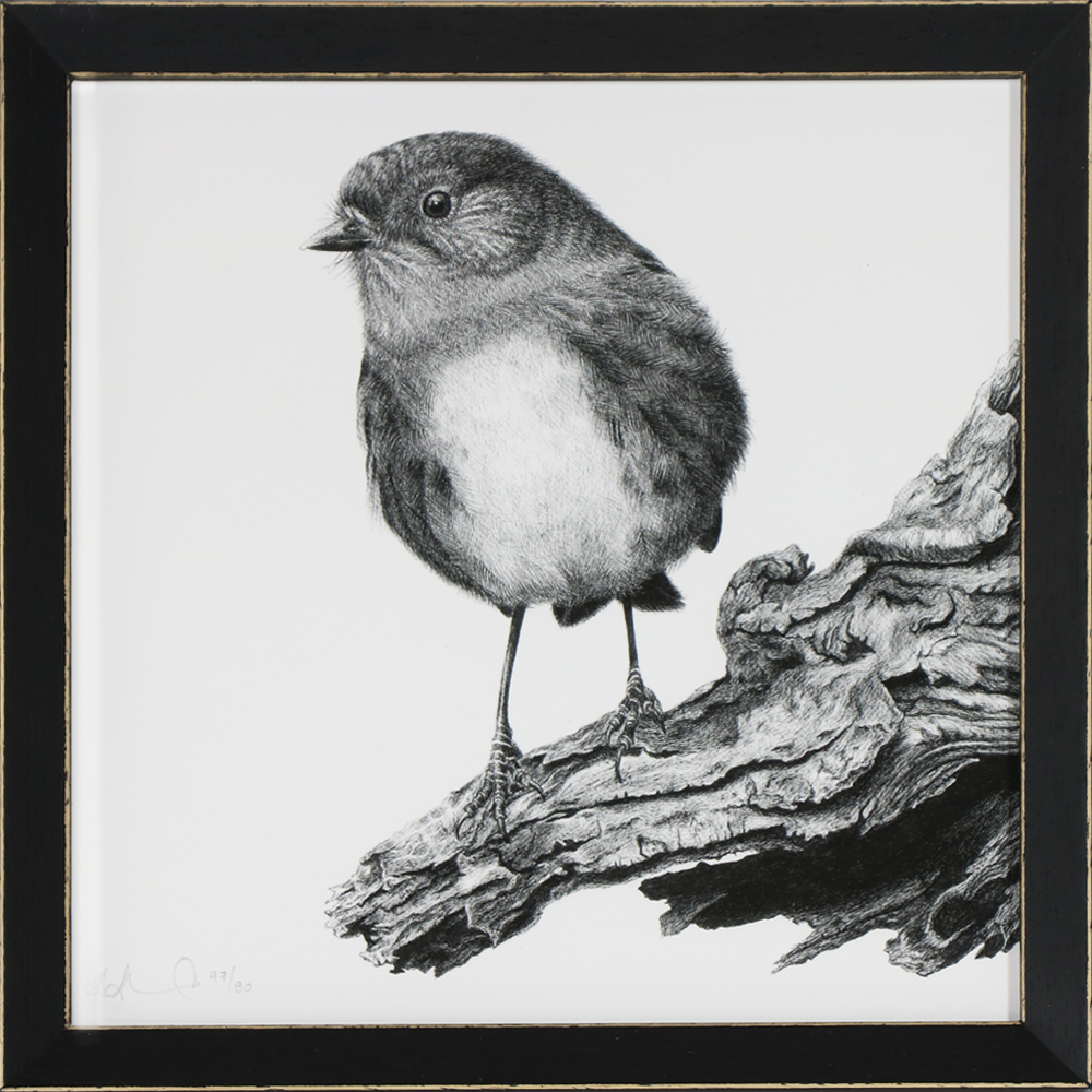 Inquisitive Robin| Art Print | Turua Tiny Show 2024 | Hannah Shand 