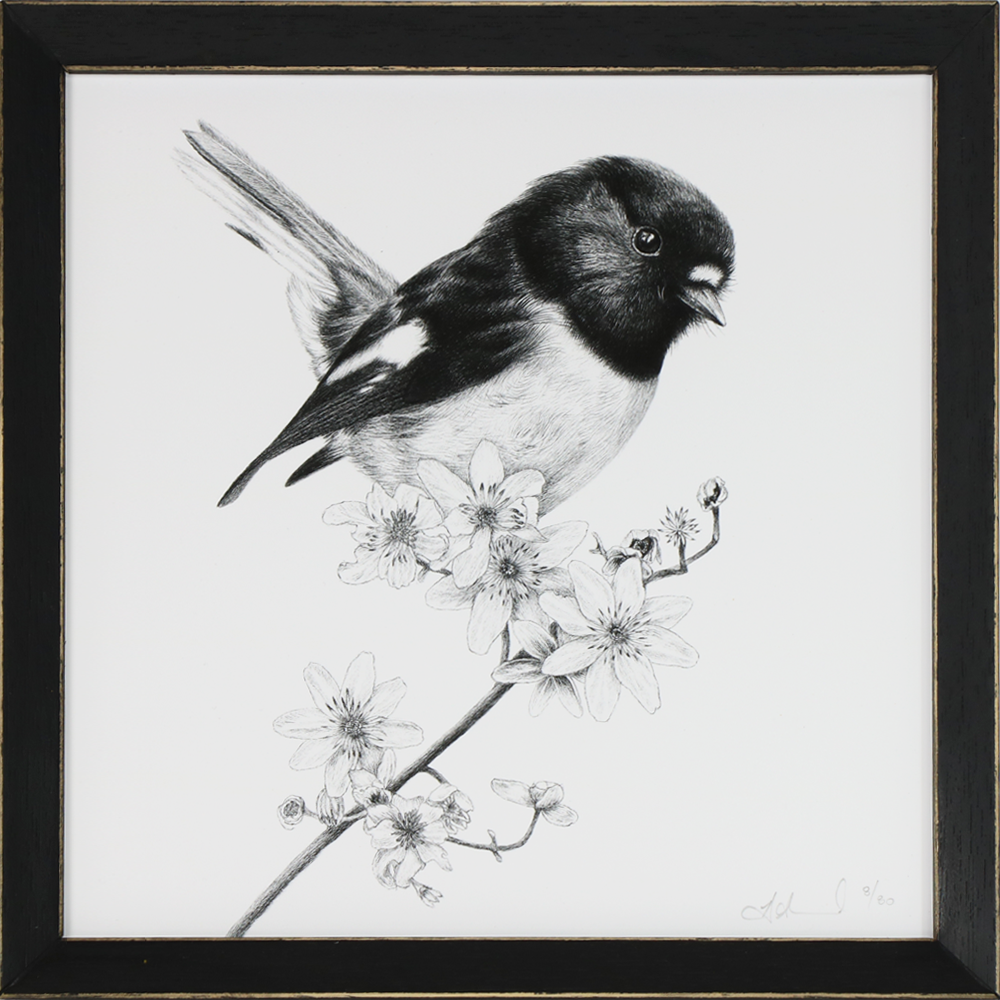 Talkative Tomtit | Art Print | Hannah Shand | Turua Tiny Show 2024 