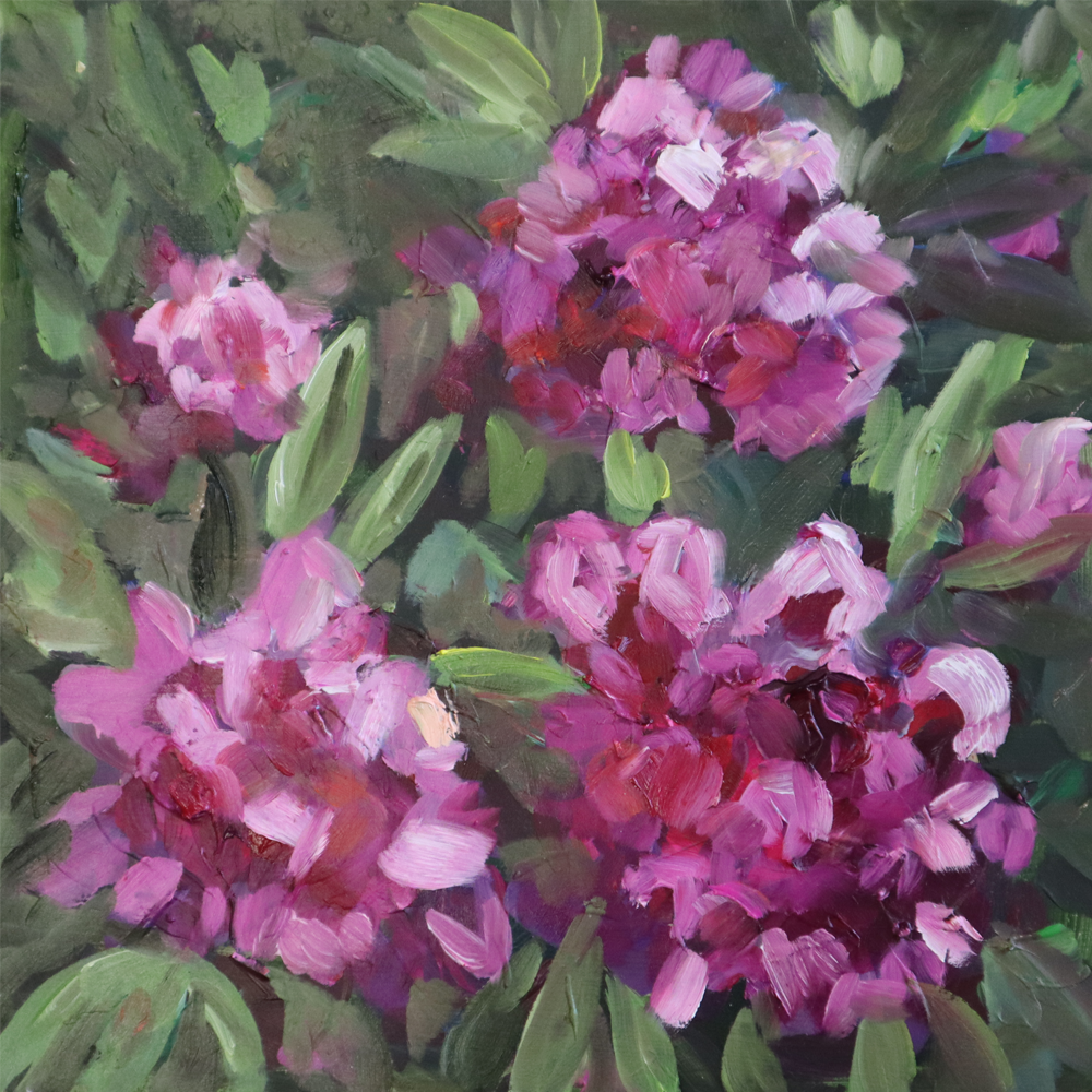 Pink Rhododendrons 2 | Painting | Harriet Millar | Turua Tiny Show 2024 