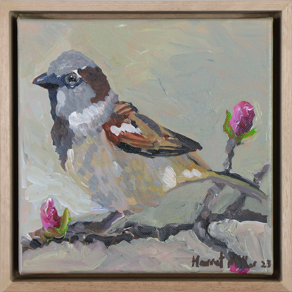Sparrow, acrylic on canvas, framed, Harriet Millar