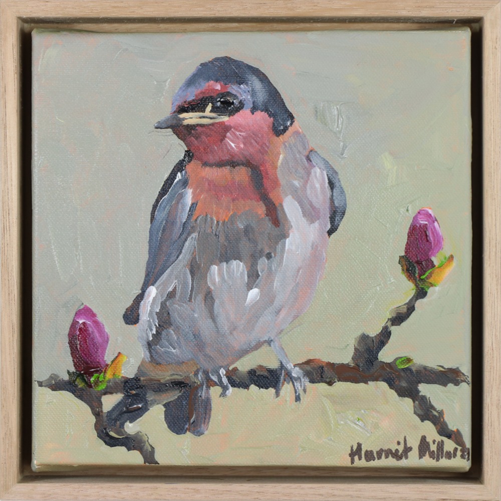Swallow, Acrylic on canvas, framed, Harriet Millar