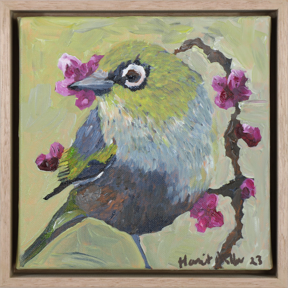 Wax eye, acrylic on canvas, framed, Harriet Millar