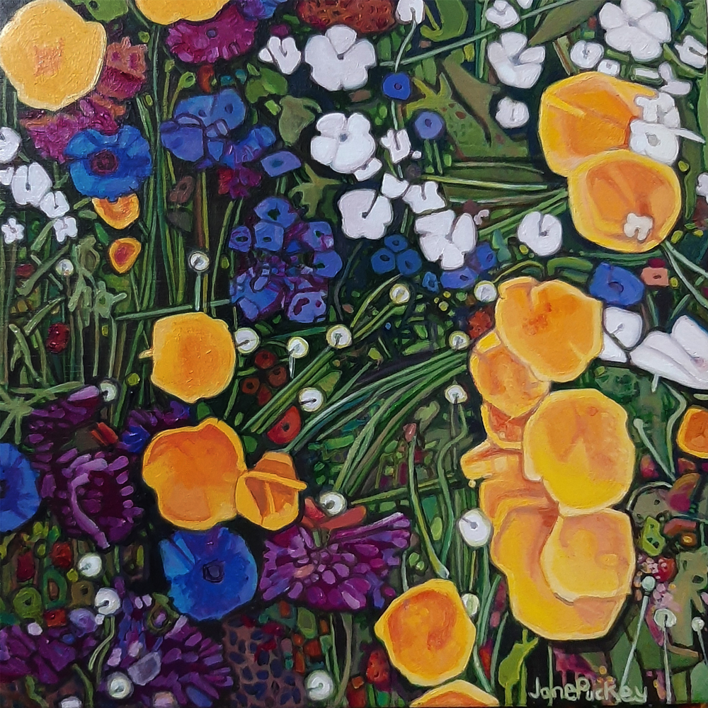 Wild Flowers 6 | Painting | Jane Puckey | Turua Tiny Show 2024 