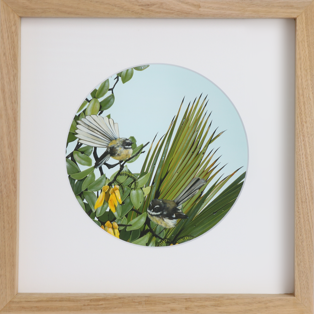 Fantail 1, Kirsty Nixon, Open edition giclee print, Framed