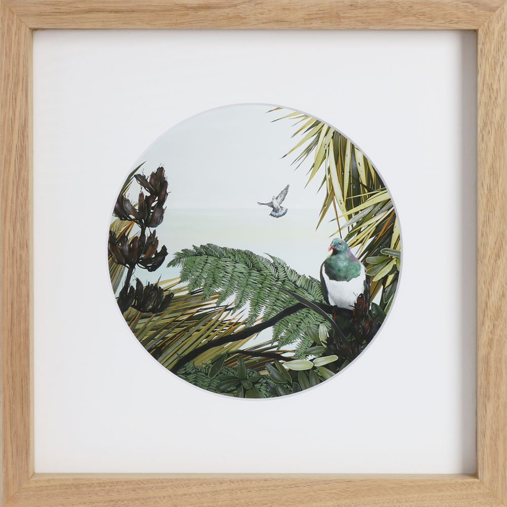 Kereru, Kirsty Nixon, Open edition giclee print, Framed