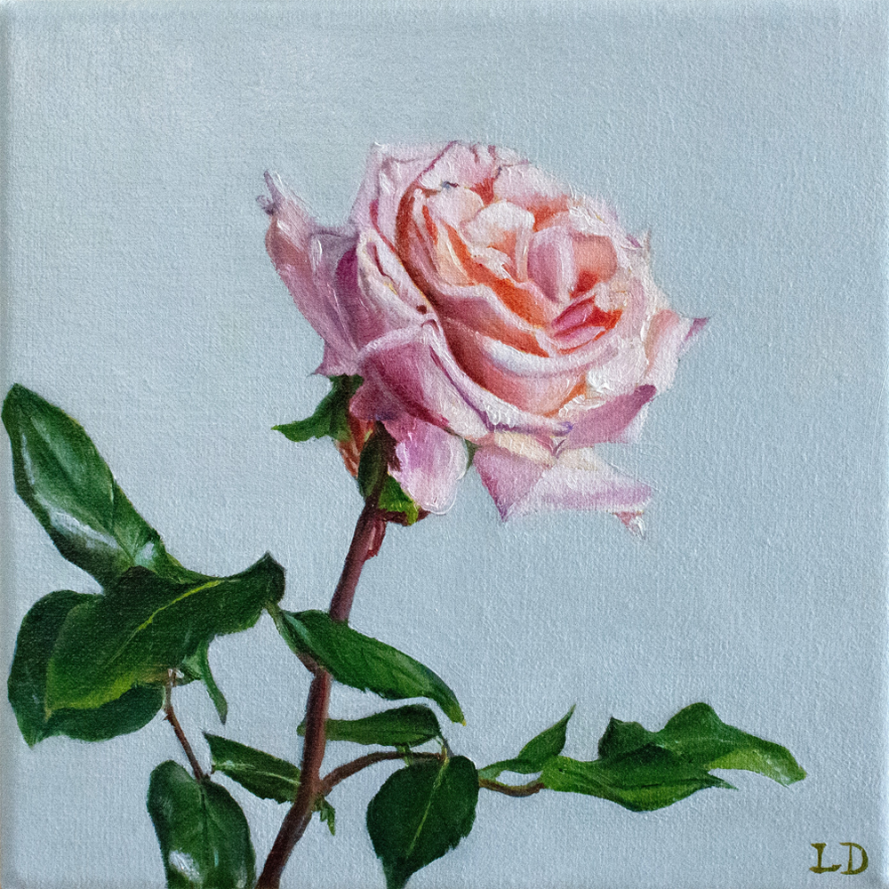 Rosa, Lee Dewsnap, Oil on linen